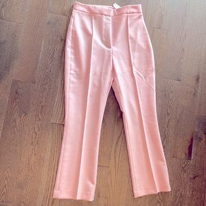 NWoT Zara sz M pink pants